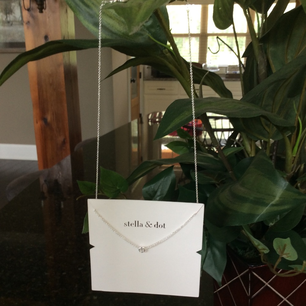 Stella and Dot Silver Wishing Necklace